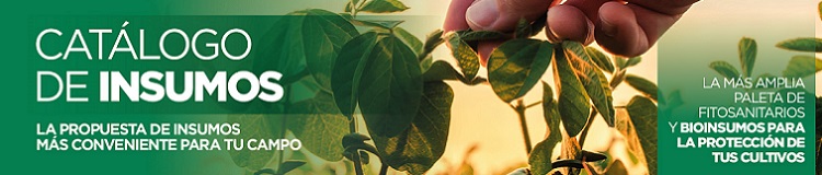 Catálogo Insumos